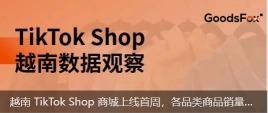 越南 TikTok Shop 商城上线首周，各品类商品销量迎